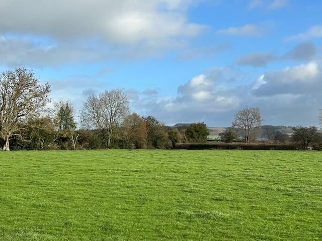 External view
