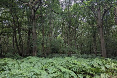 undefined, Warehorne Road, Woodchurch TN26