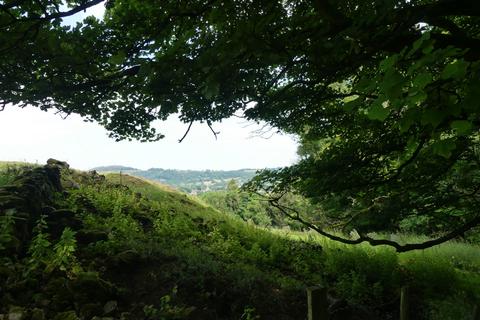 undefined, Harebell and Highview Wood, near Wirksworth, Derbyshire DE4