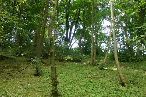 undefined, Harebell and Highview Wood, near Wirksworth, Derbyshire DE4