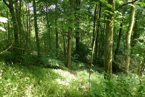 undefined, Harebell and Highview Wood, near Wirksworth, Derbyshire DE4