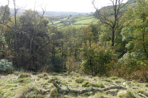 undefined, Harebell and Highview Wood, near Wirksworth, Derbyshire DE4
