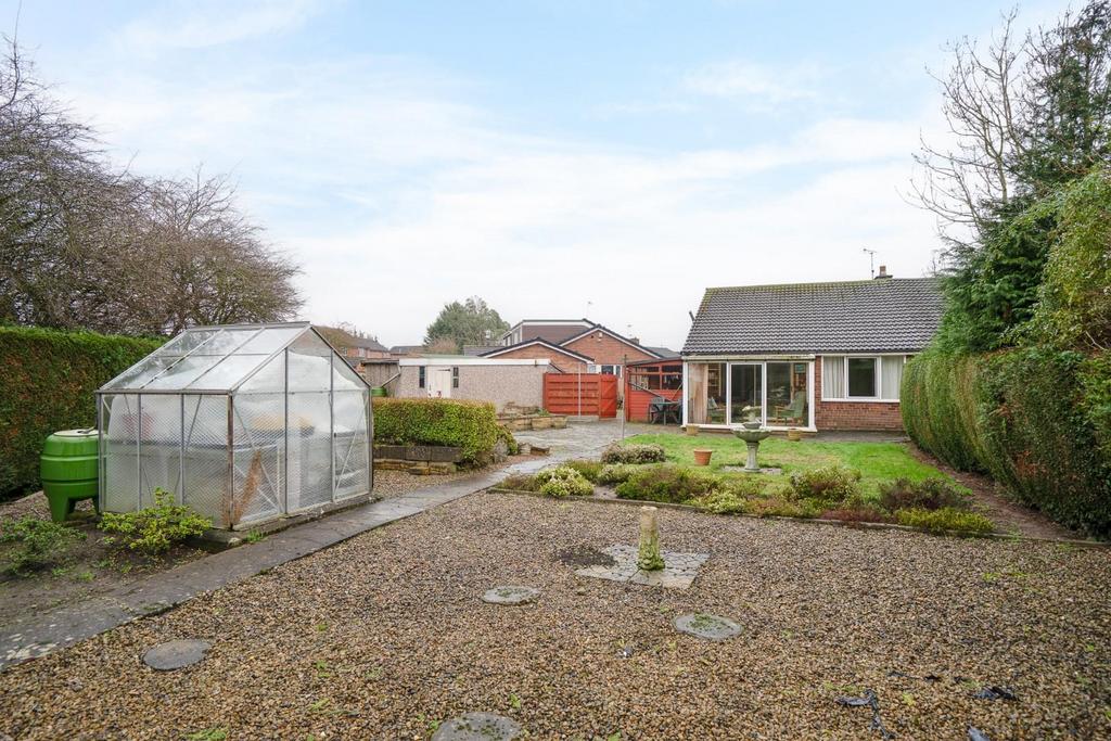 KD-5.jpg