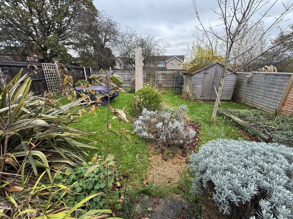 Garden 2