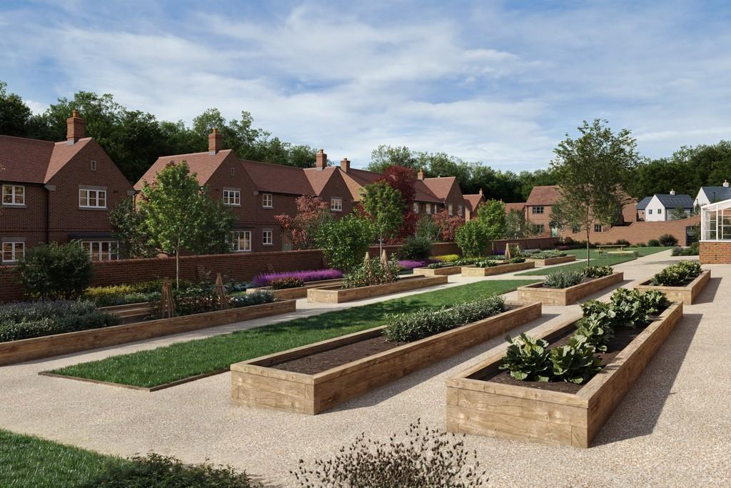 Worting park, basingstoke