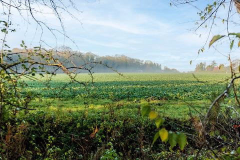 2 bedroom detached bungalow for sale, Farm Walk, Necton