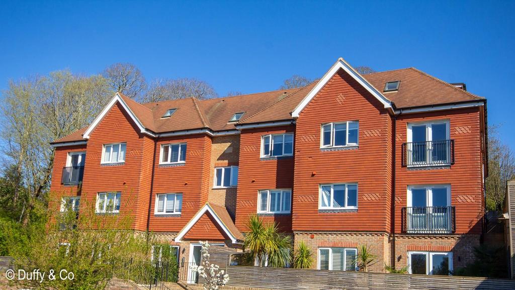 11 WS (1 of 5) (Large).JPG