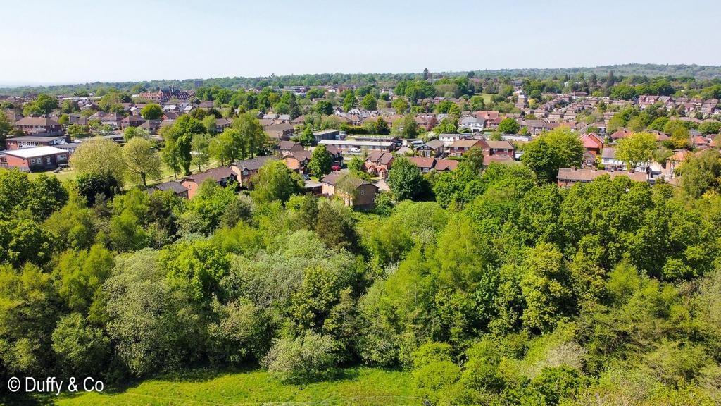 11 WS (4 of 5) (Large).JPG