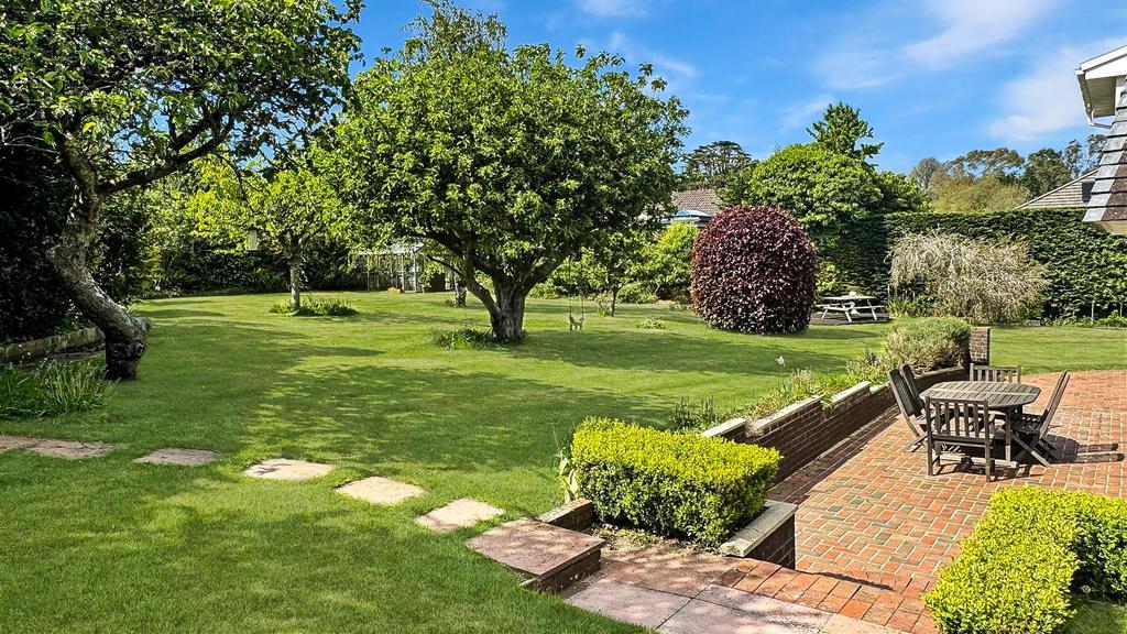 D1n13 VOw9ke MJg BCxc-ZIw.jpg