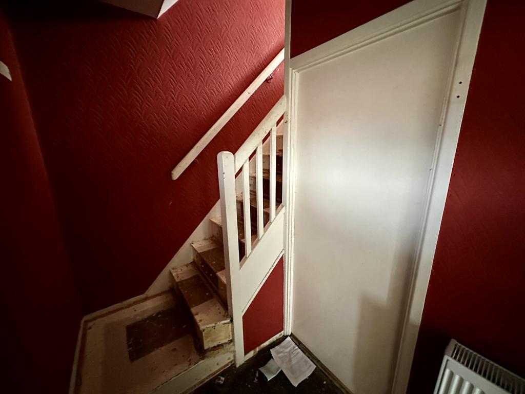 IMG 4334 T202511291245.jpeg