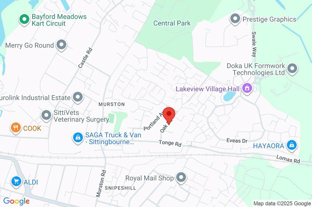 Google Maps Image