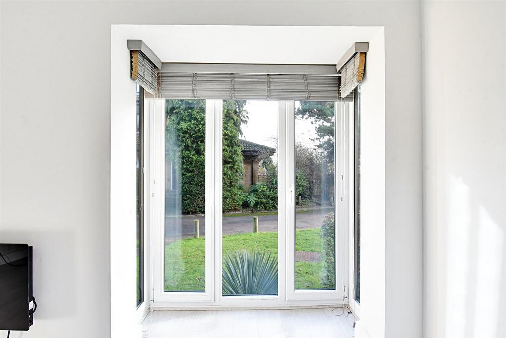Window.jpg