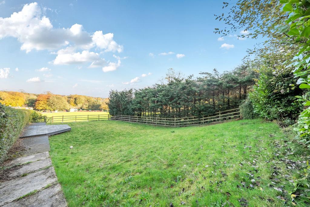 Photograph 4