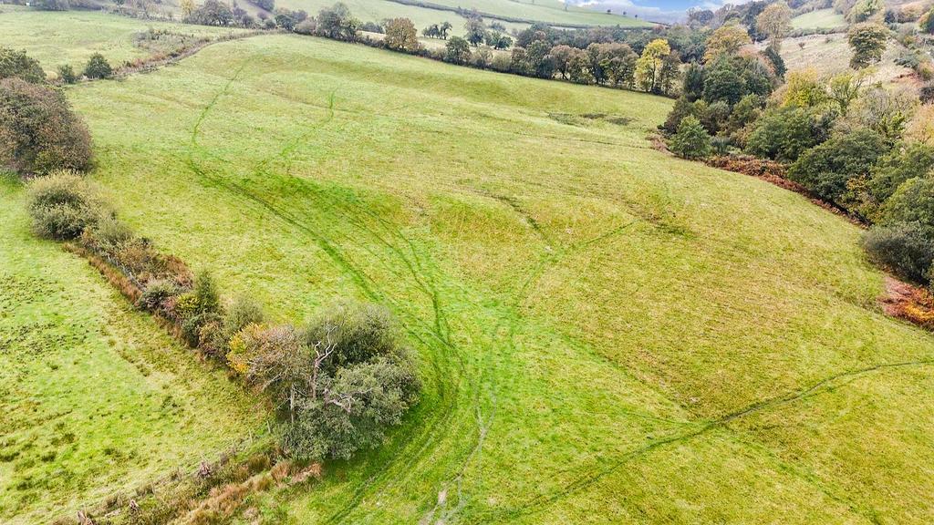 Paddocks