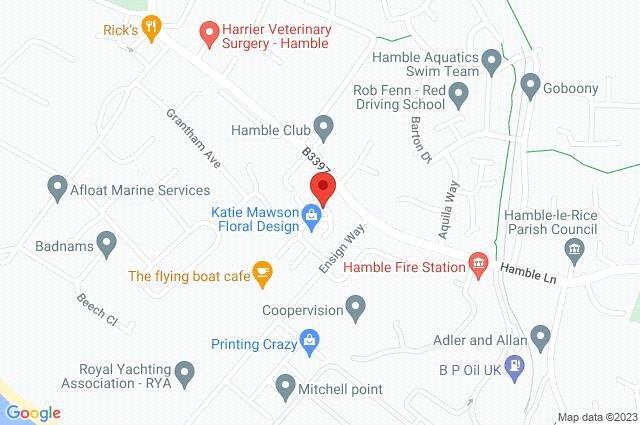 Google Maps Image