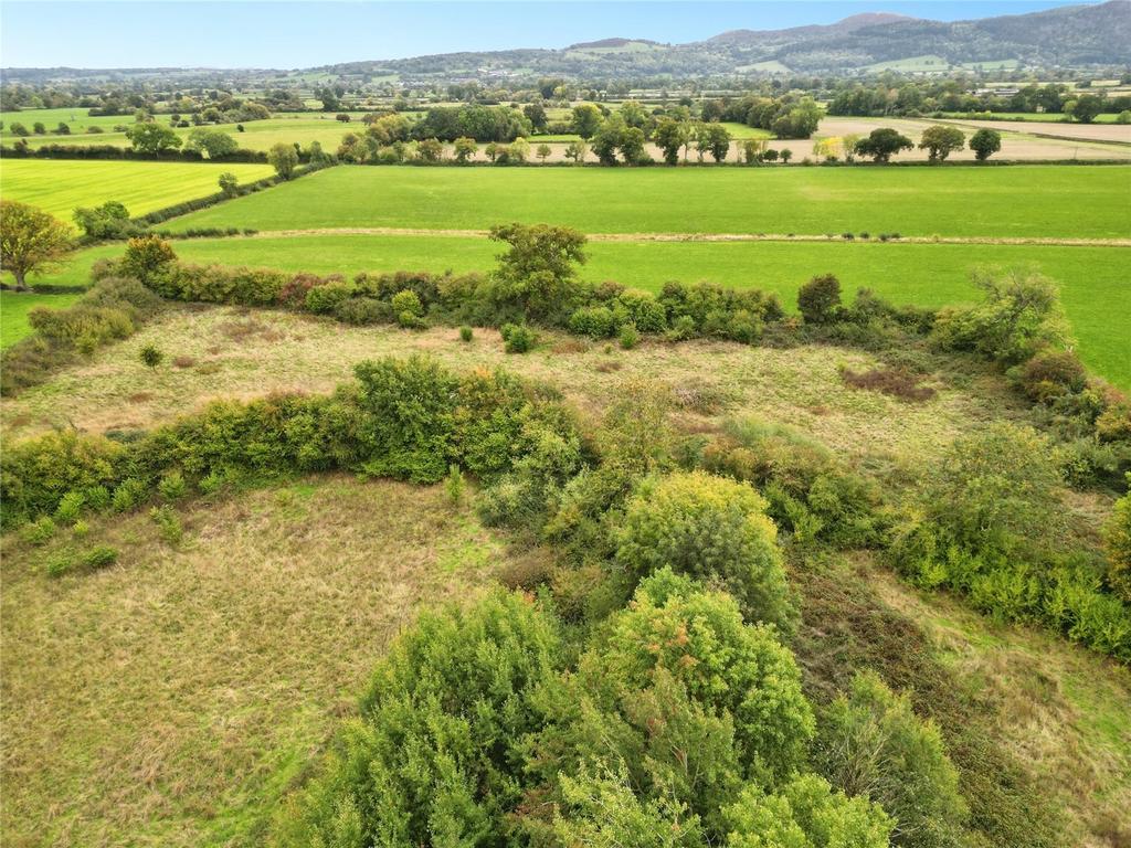 Paddocks