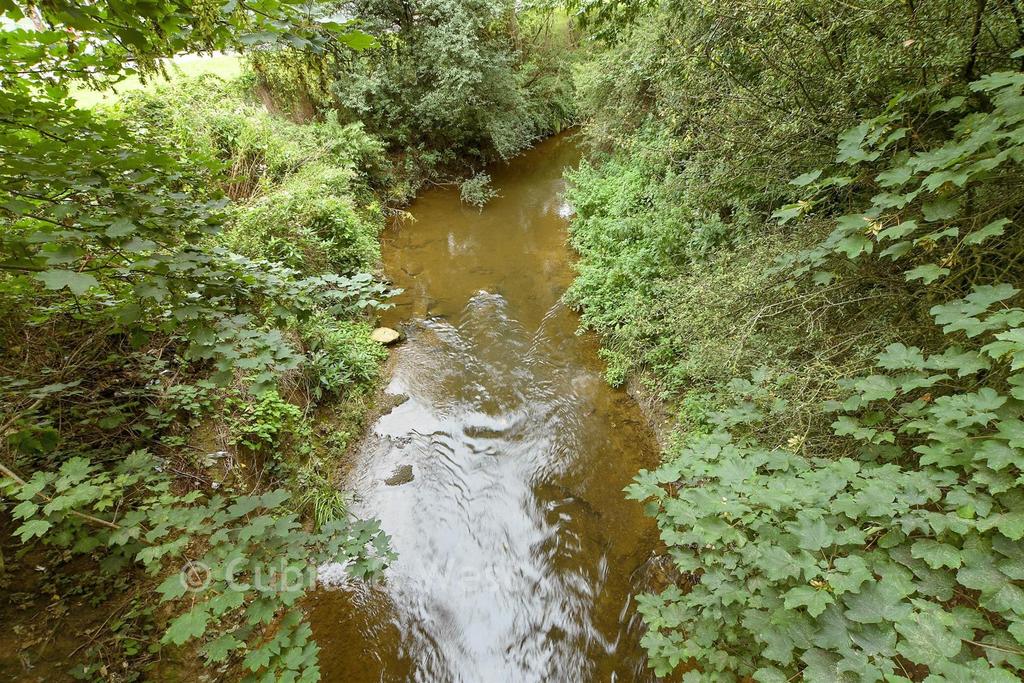 Surrounding Area