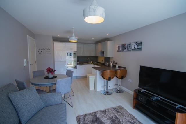 Bright open-plan living area with a modern fitt...
