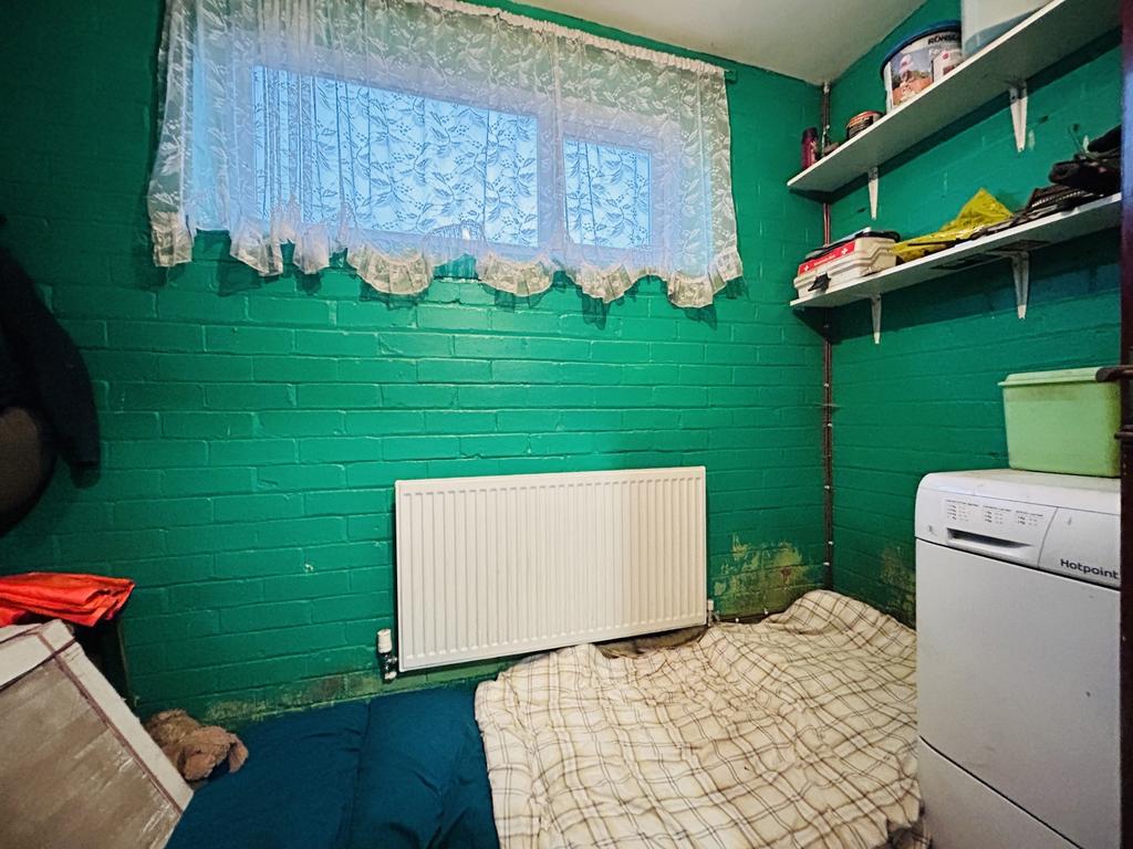 Img 1941