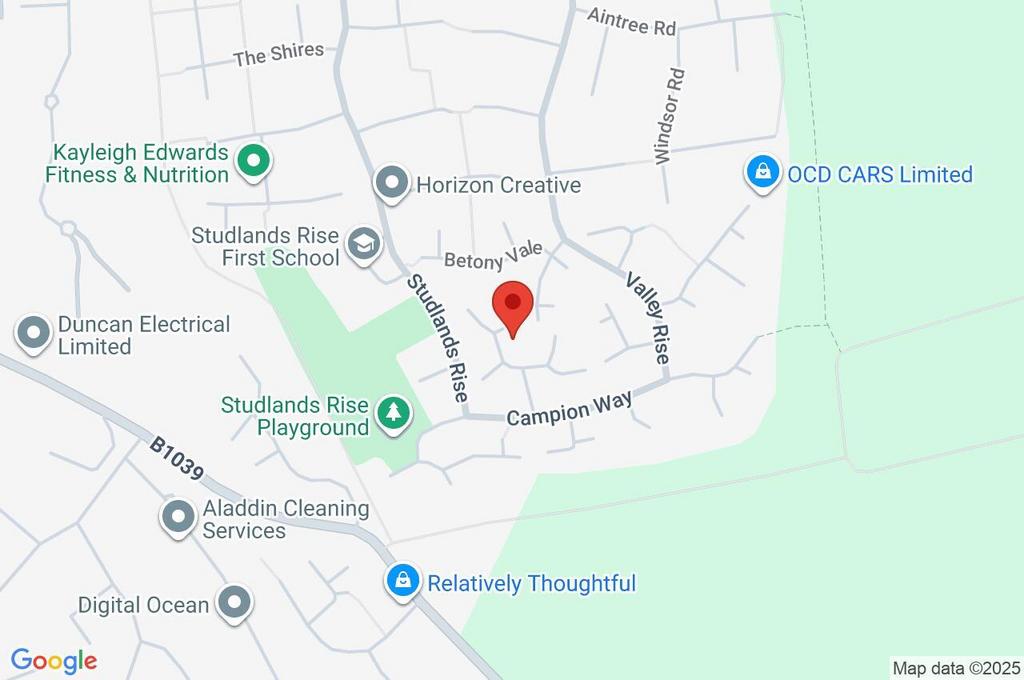 Google Maps Image