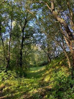 undefined, Bwlchgwyn, Wrexham