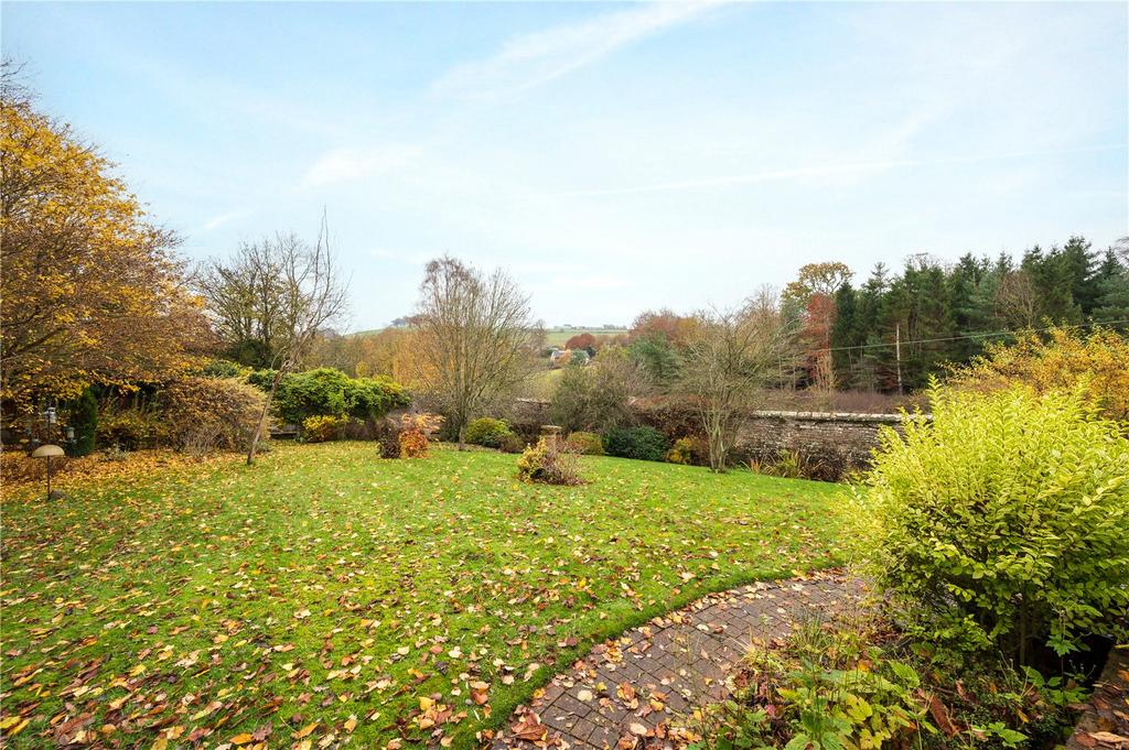 Back Garden