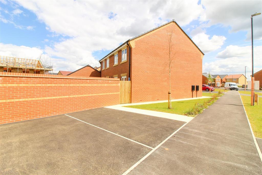 IMG 0231.jpg