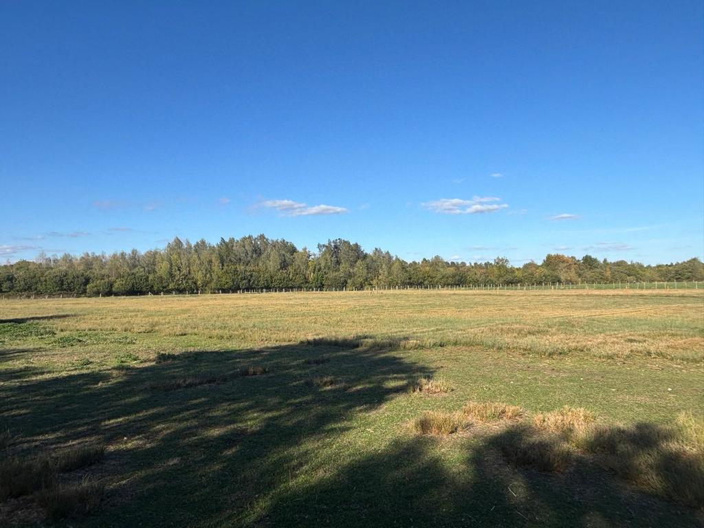 Land