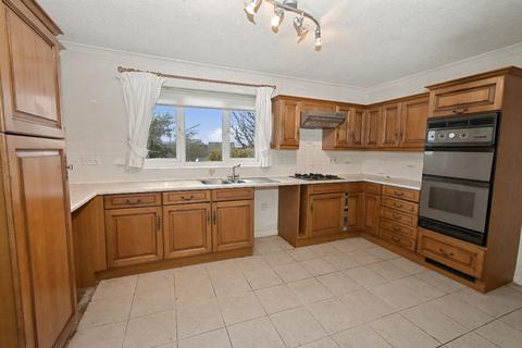 undefined, Pound Park, Okehampton