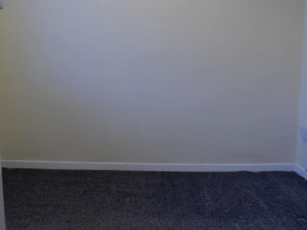 Photograph 10