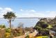 Livermead, Torquay photo 3