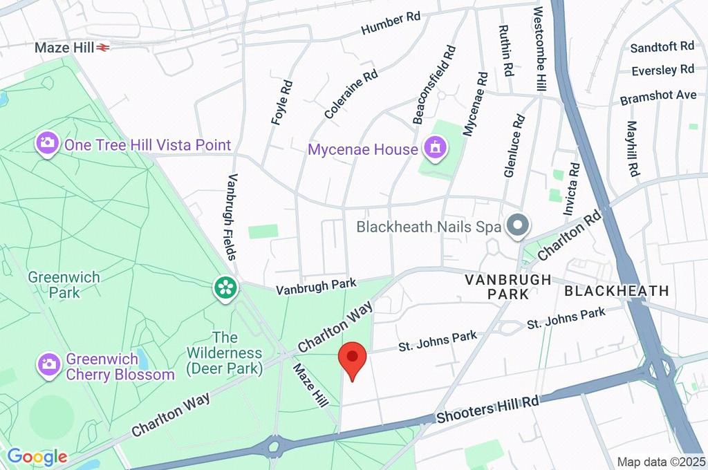Google Maps Image