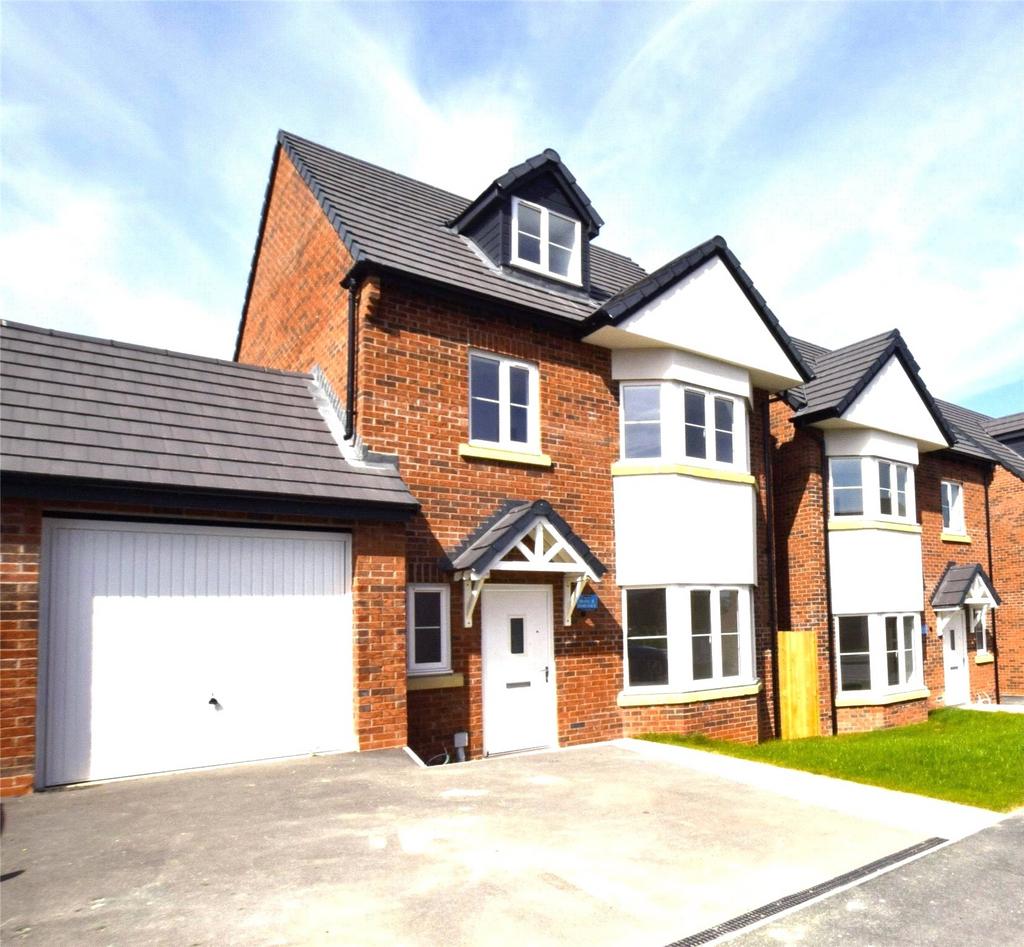Plot 5