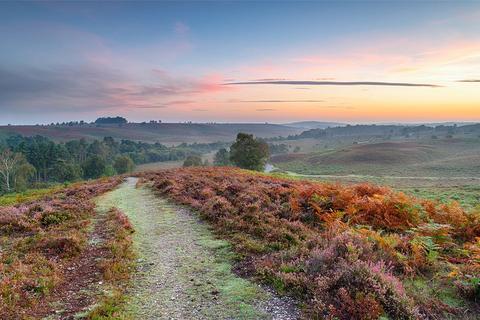 undefined, Barton Common Road, Hampshire BH25