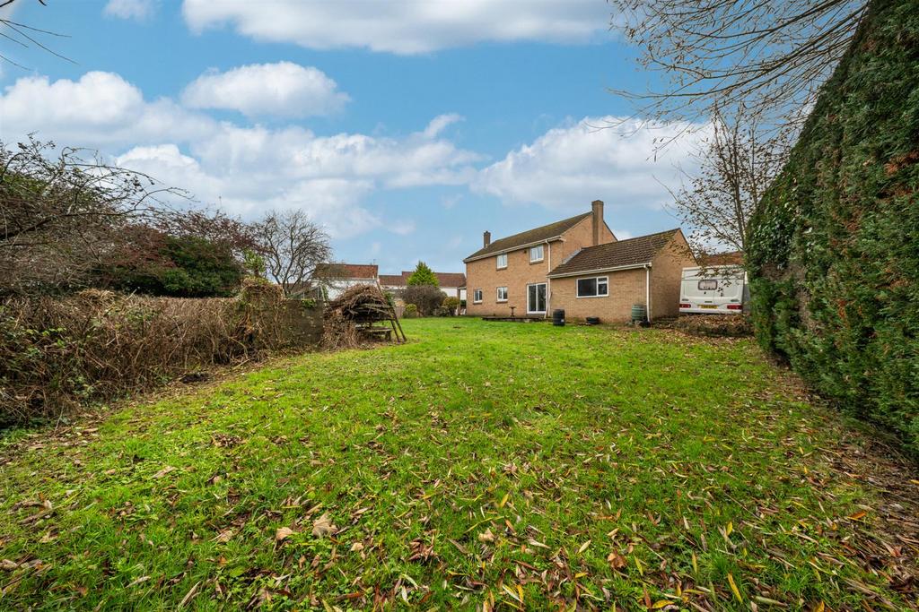 T.jpg