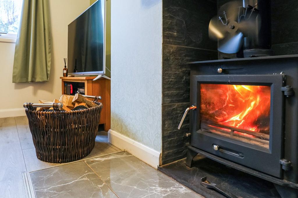 Multi Fuel Stove