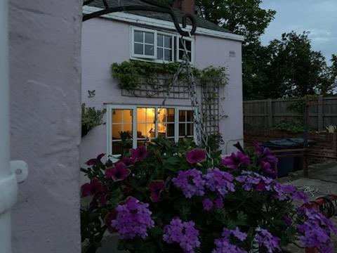 Evening photo