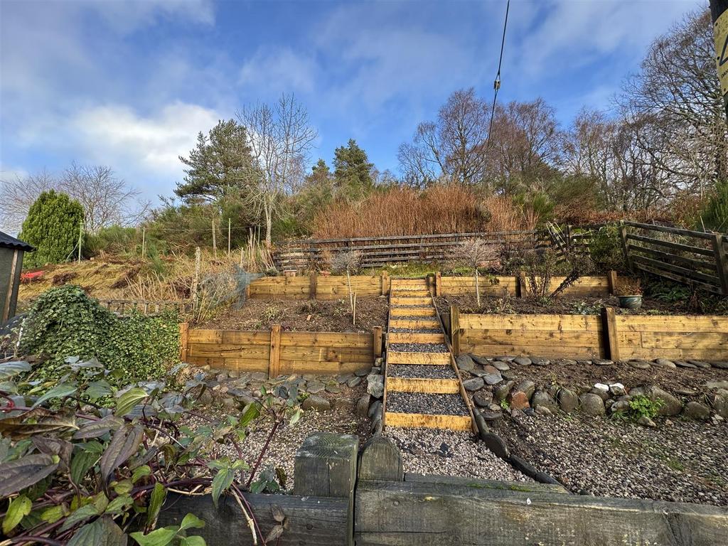Rear garden.jpg
