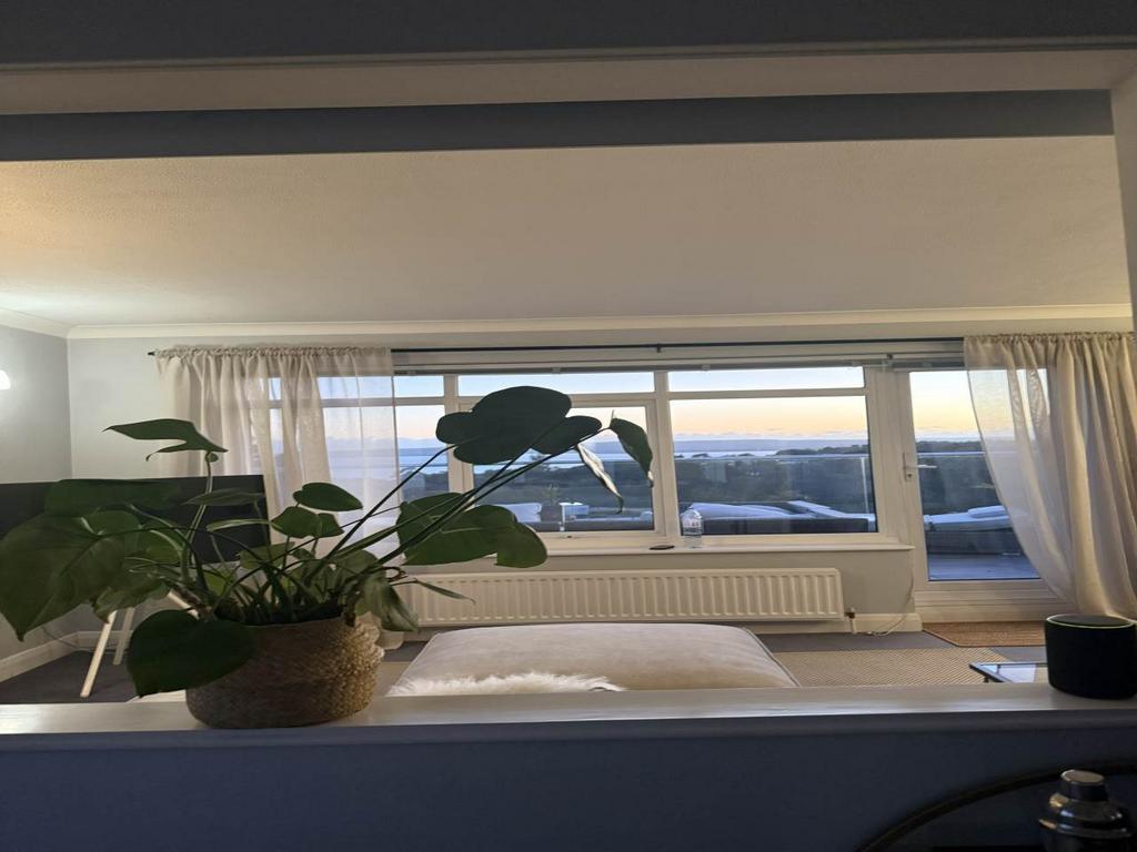 Views from lounge