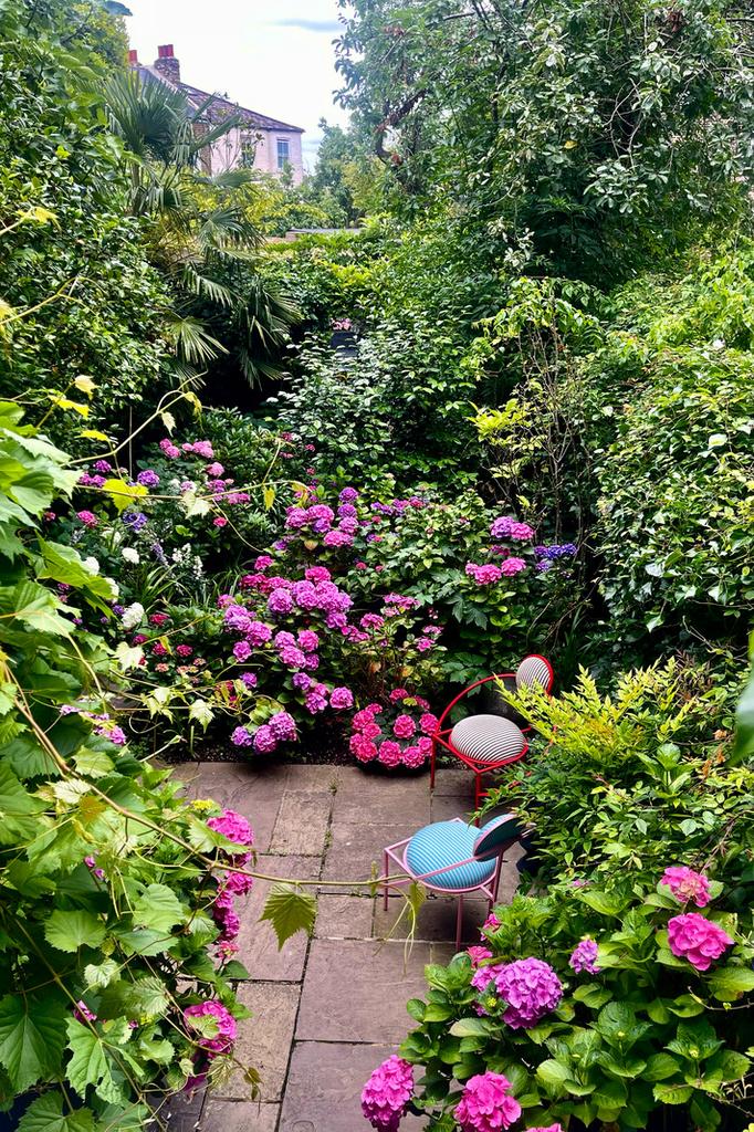 A0 OP6000003 Vv Mr MAK N40 webres.jpg