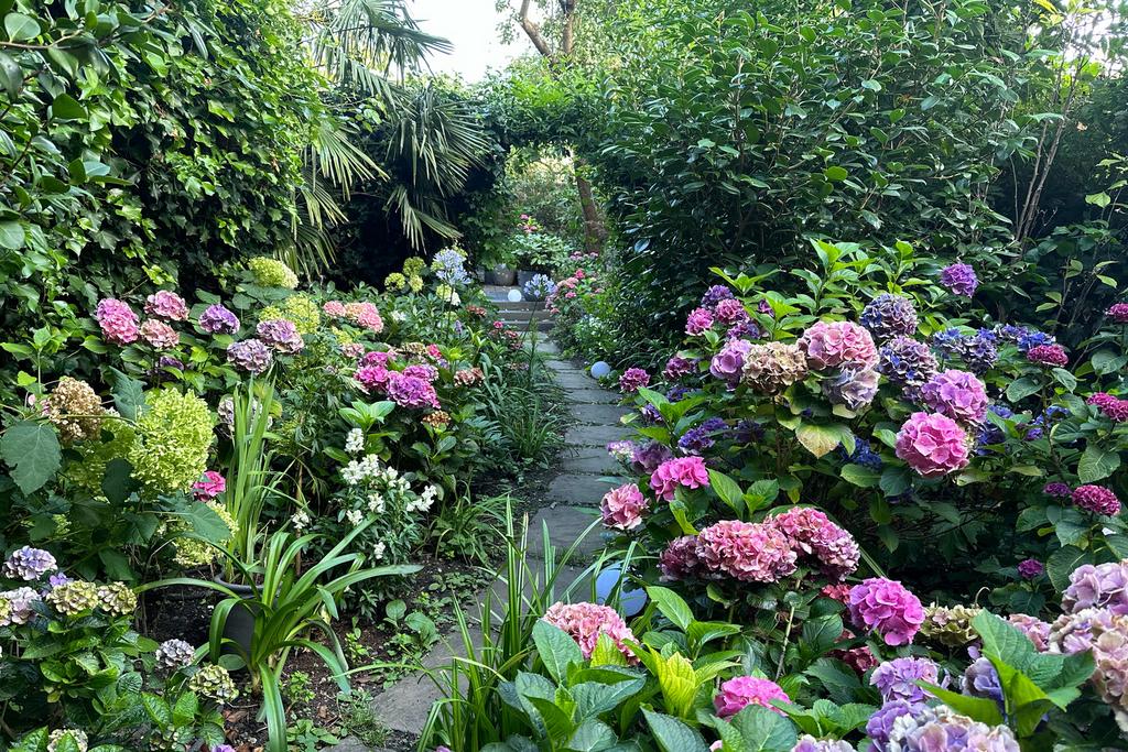 A0 OP6000003 Vv Mr MAK N43 webres.jpg