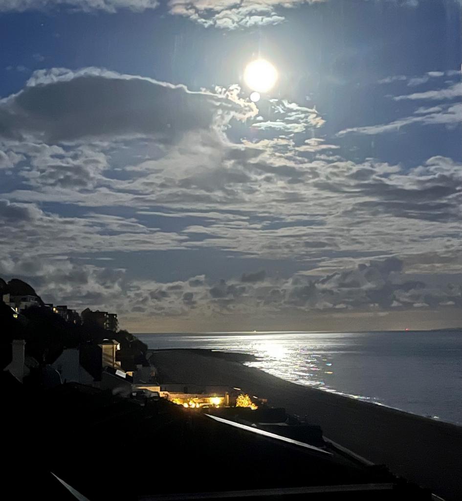 The moon