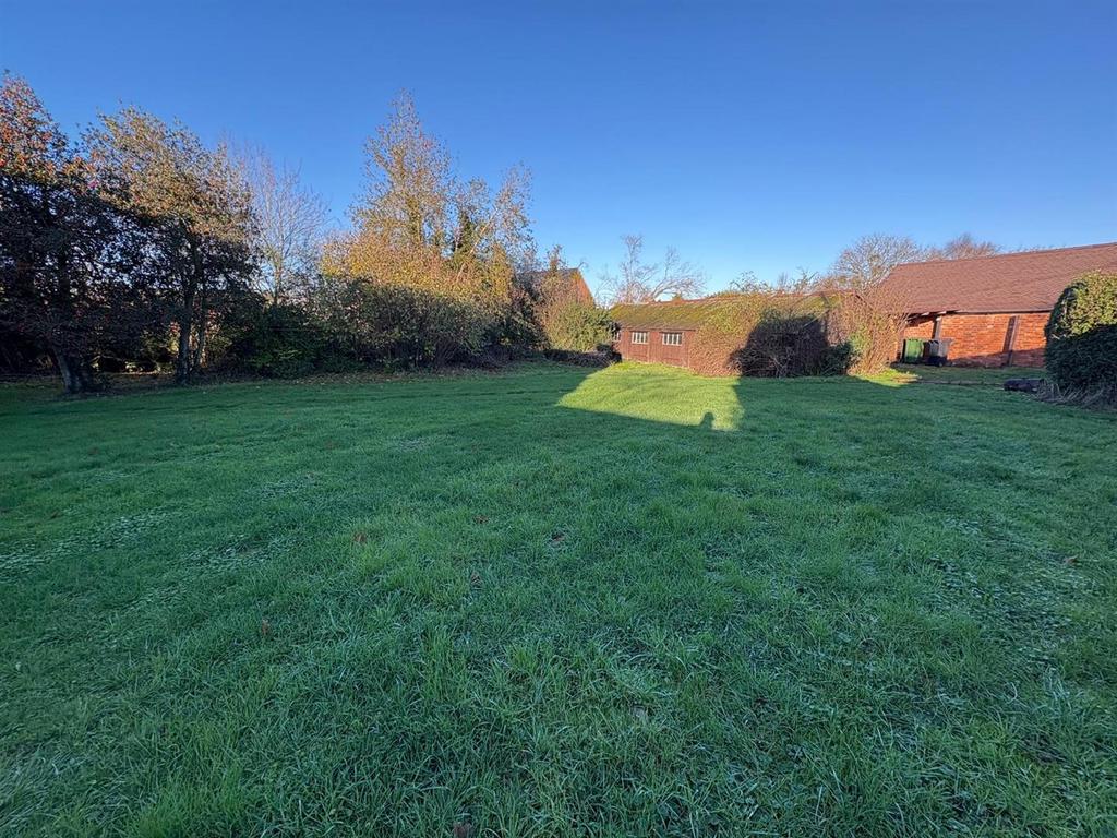 The Rear Garden