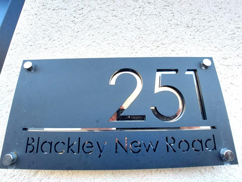 251bnr1