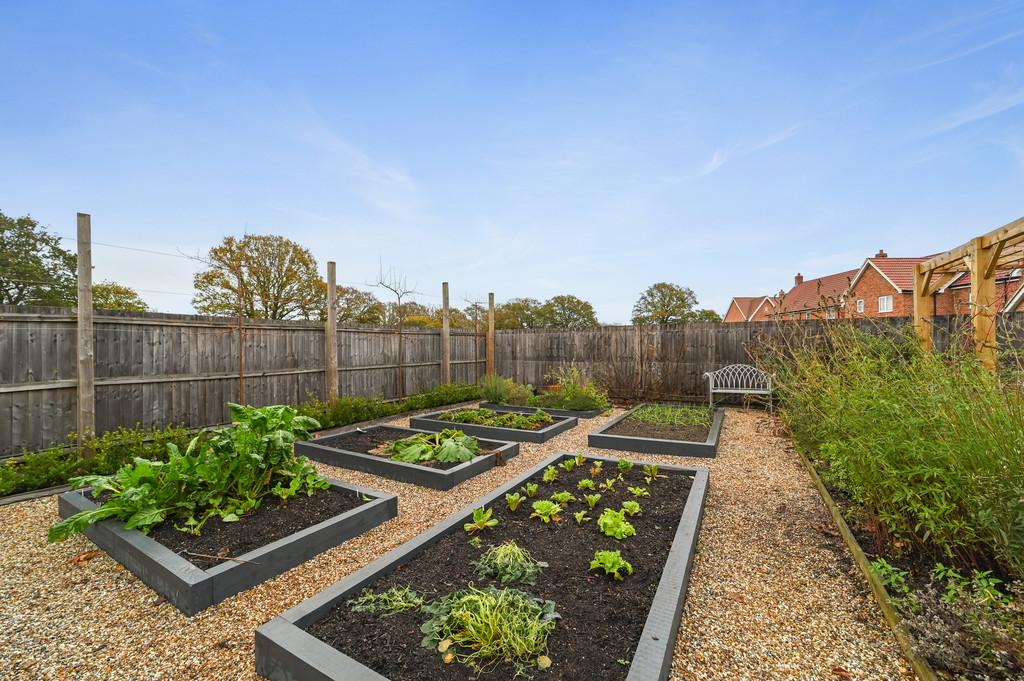Tye Green garden 6