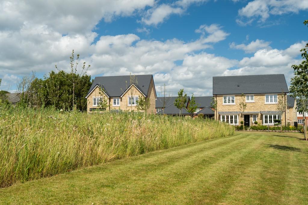 The orchards, purton