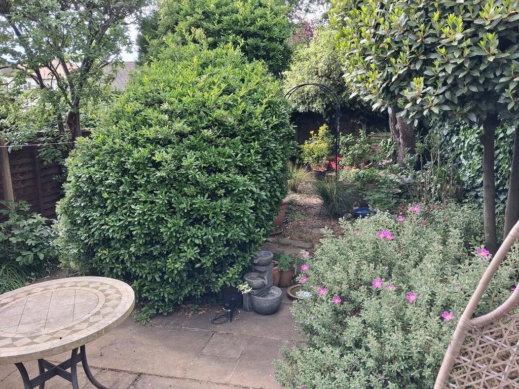 Garden view, garden