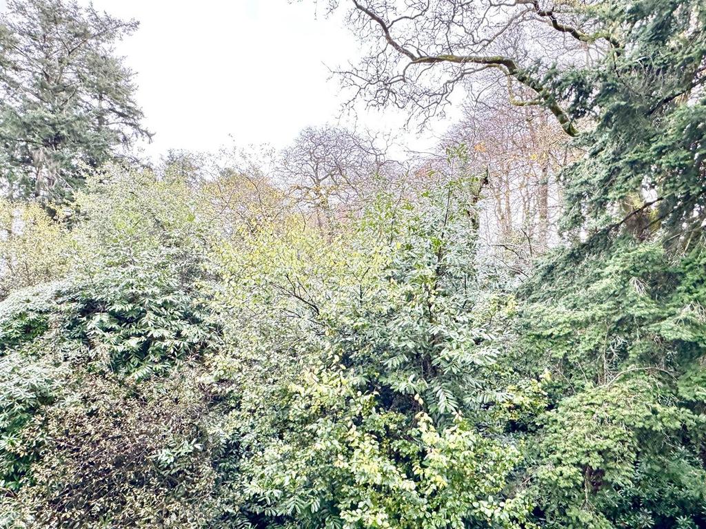 View From Balcony