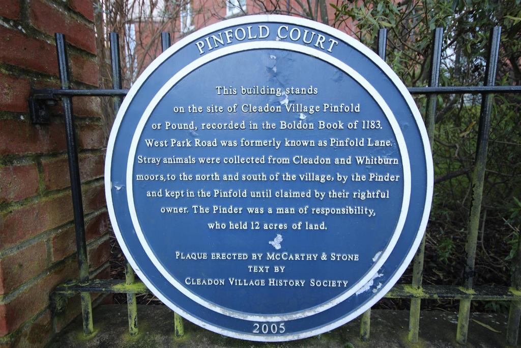 History