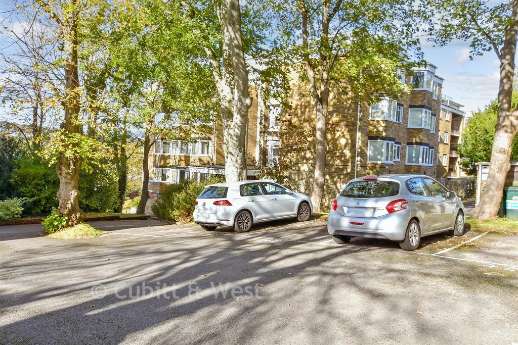 Driveway/Parking